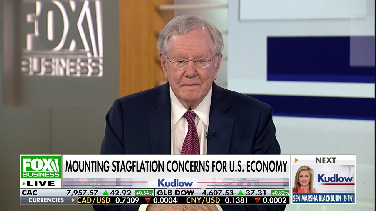Economic experts Steve Forbes and David Malpass react to polls showing inflation is a top issue for voters in the 2024 election on 'Kudlow.' 
