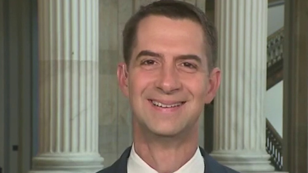 Tom Cotton: There is a genuine risk of China controlling the world's chip market