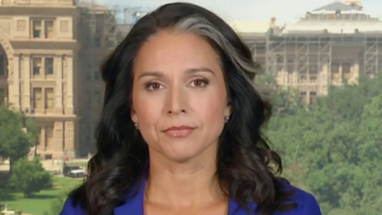 Former DNC vice chair Tulsi Gabbard says the 'contrast couldn't be more clear' between the two presidential candidates on 'Kudlow.'