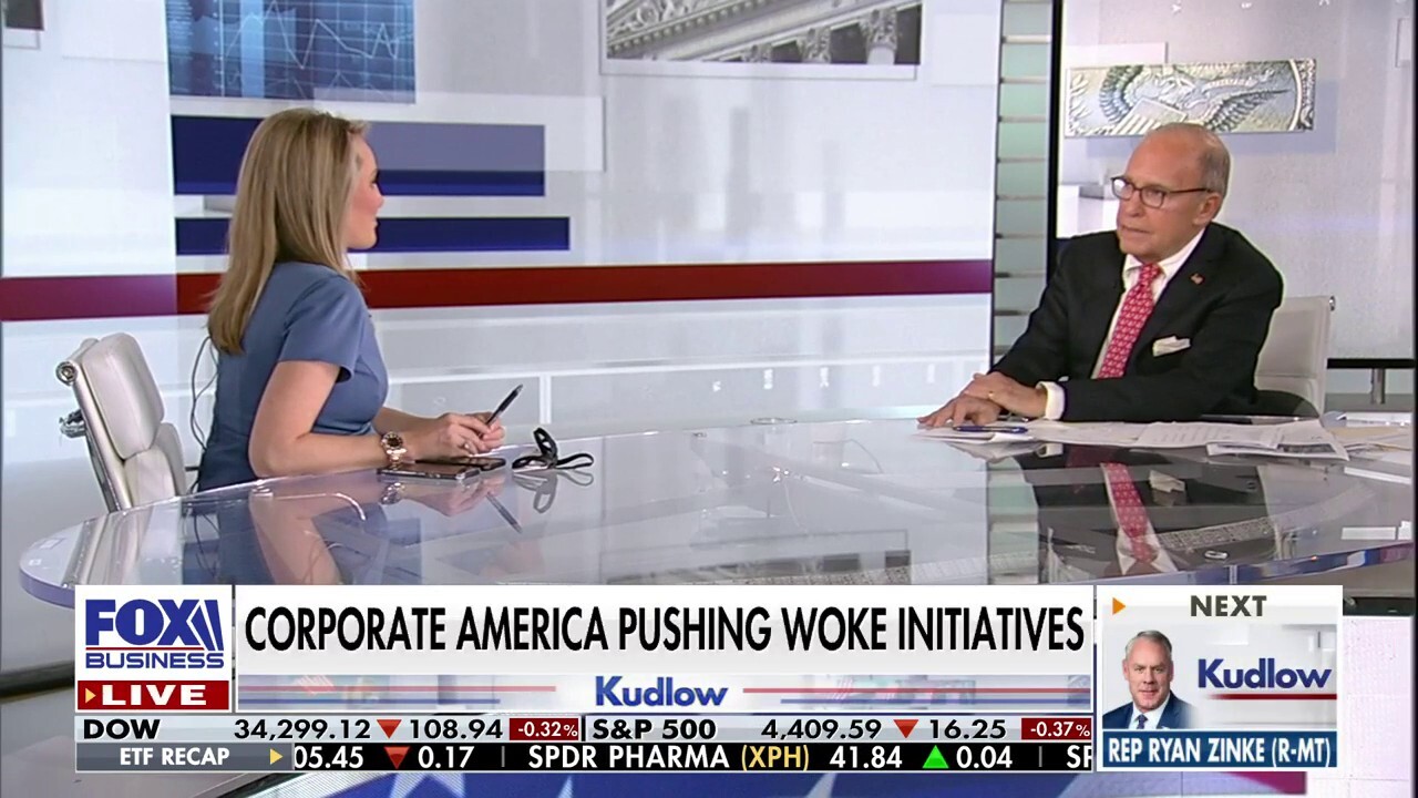'The Big Money Show' co-host Taylor Riggs sounds off on woke corporations on 'Kudlow.' 