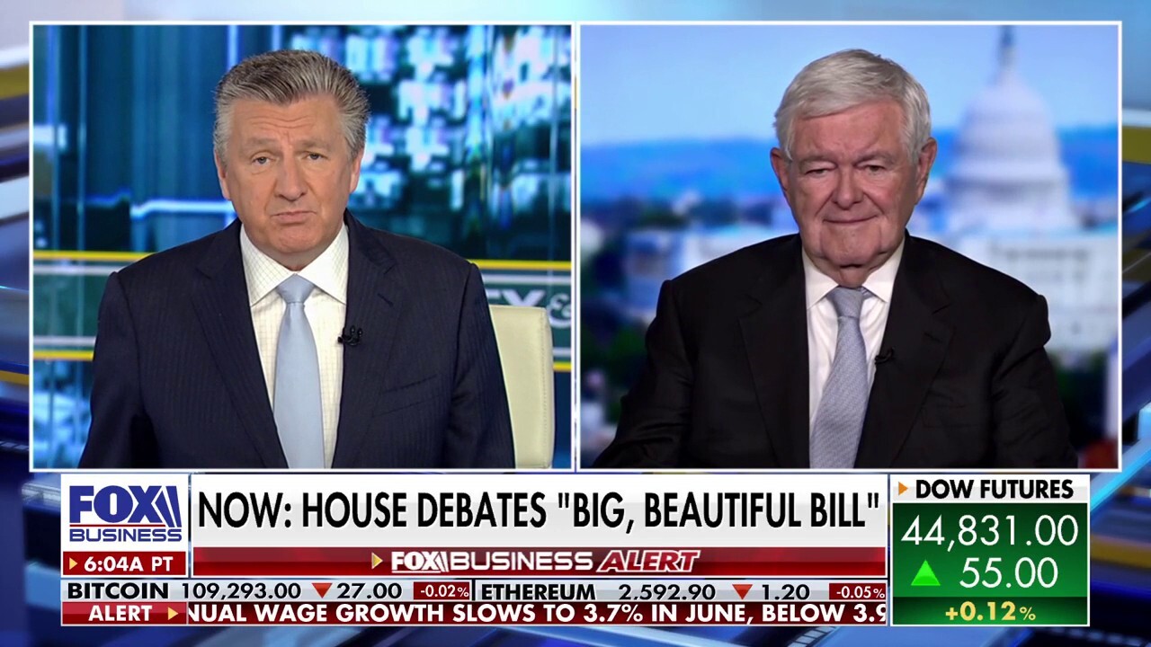 Gingrich on 'big, beautiful bill': Trump and the country will win today
