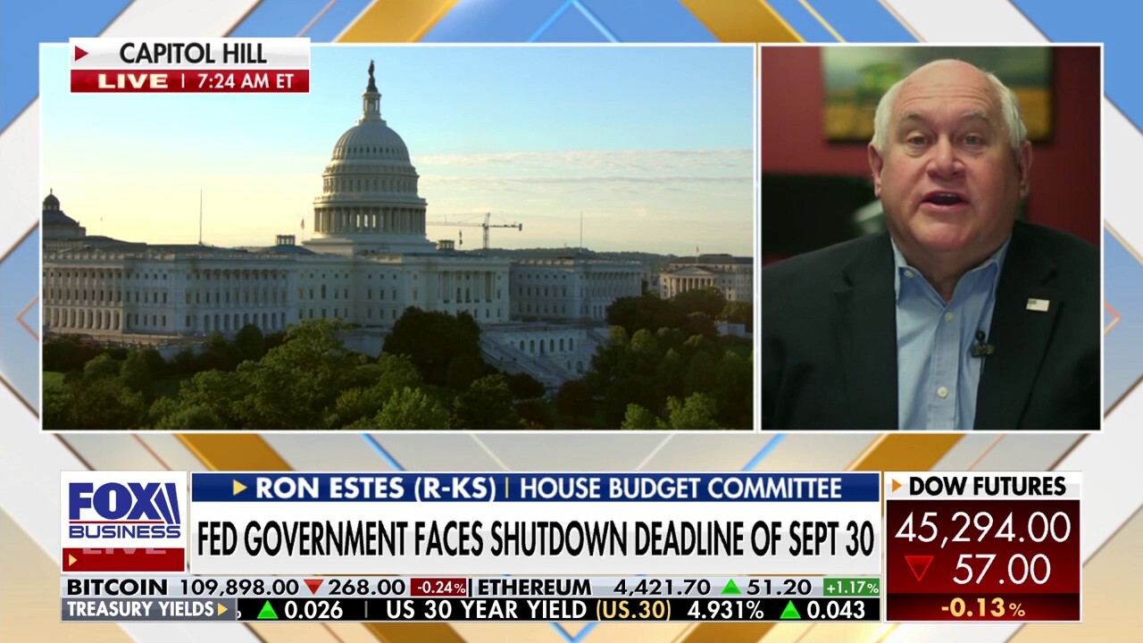 GOP lawmaker warns of CR 'bad habit' as shutdown looms