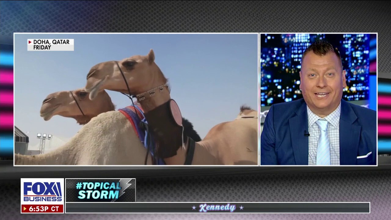 Jimmy Failla's Tropical Storm: Camels and beauty pageants? 