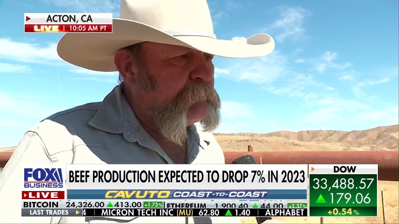 Diamond W Cattle Company owner Mike Williams says he has about a third of the cattle he normally has on the ranch due to the drought and notes that "the total number of cattle in the United States is reduced quite significantly."