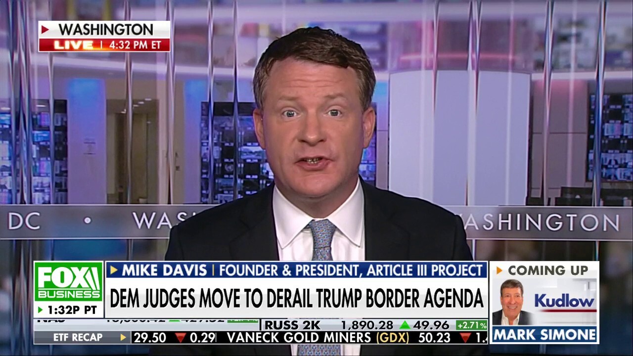 Trump is doing what he promised American voters, says Mike Davis