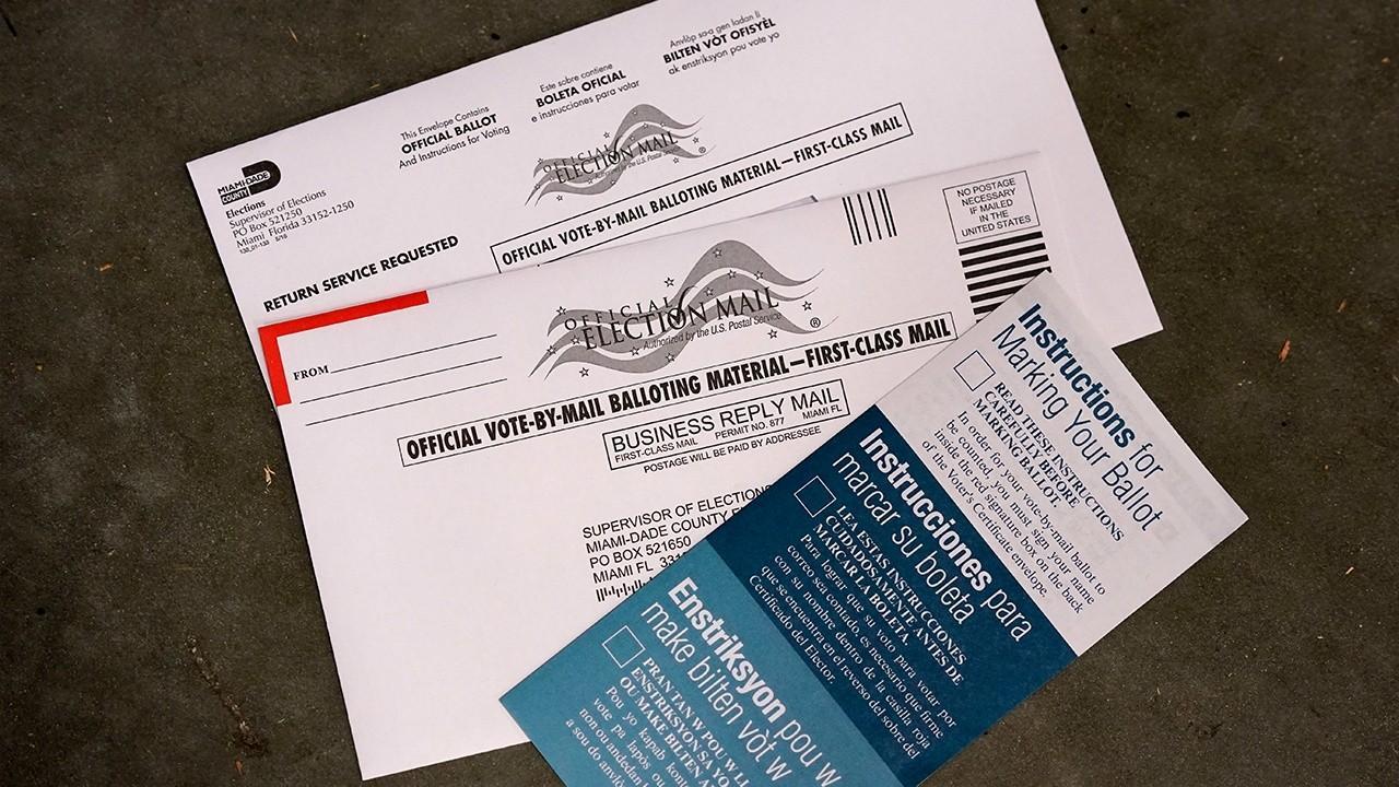 Justice Department ‘did nothing’ to stop mail-in voting issues: Fitton