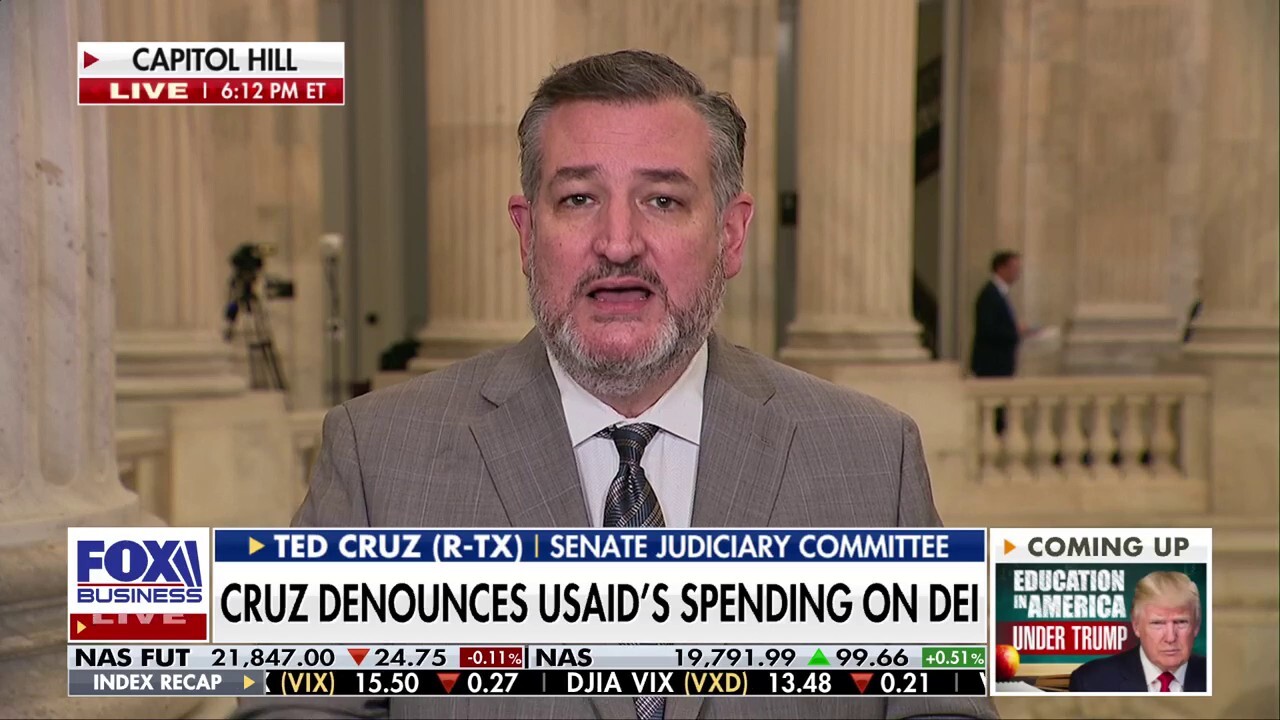 Elon Musk lives 'rent-free' in Dems' head: Sen. Ted Cruz