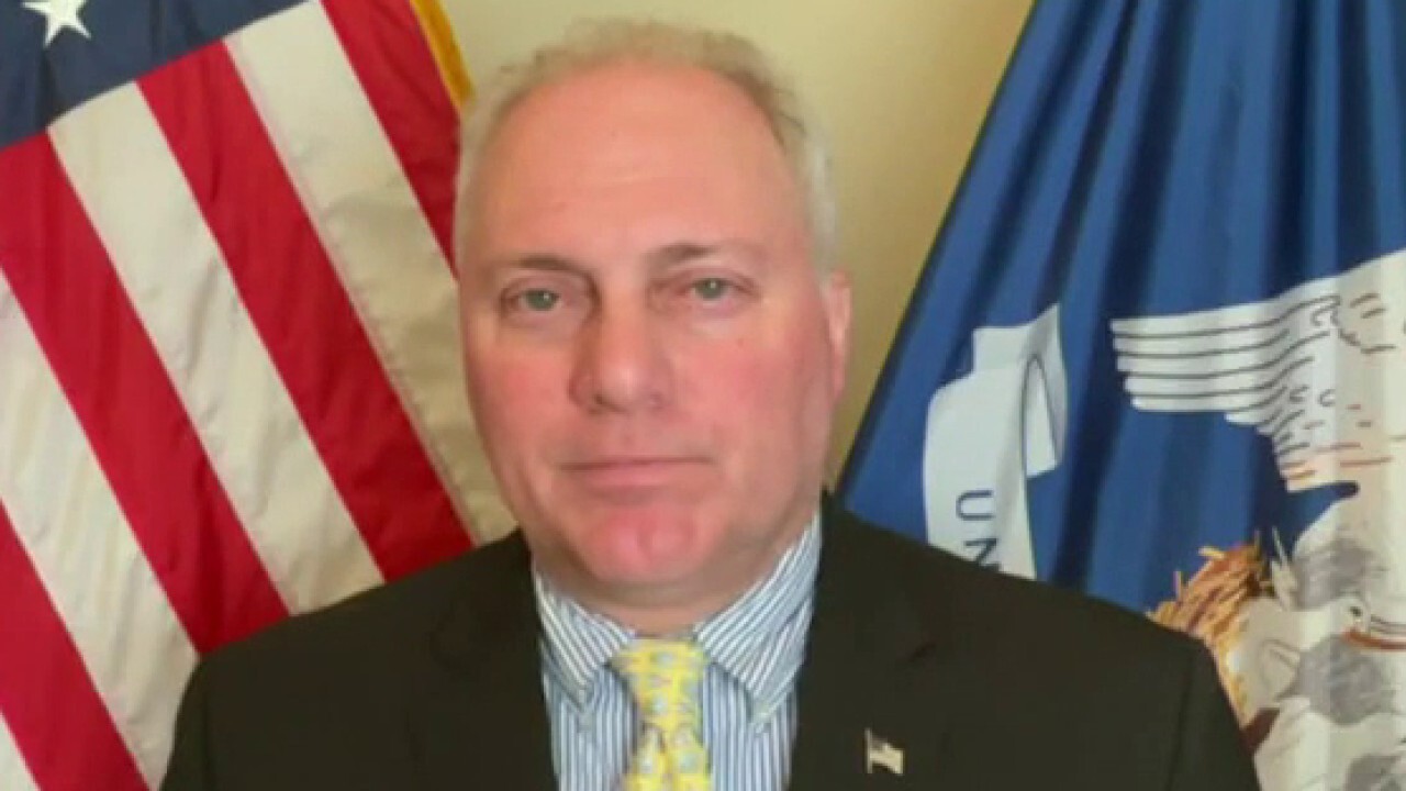 Rep. Steve Scalise, R-La., calls on President Biden to secure the southern border on 'Kudlow.'