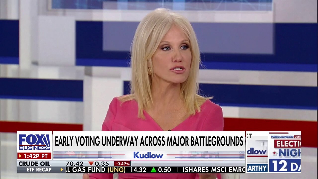 'Kudlow' panelists Kellyanne Conway and Lee Zeldin react to the state of the Trump and Harris campaigns and Elon Musk rallying swing state voters ahead of the November election.