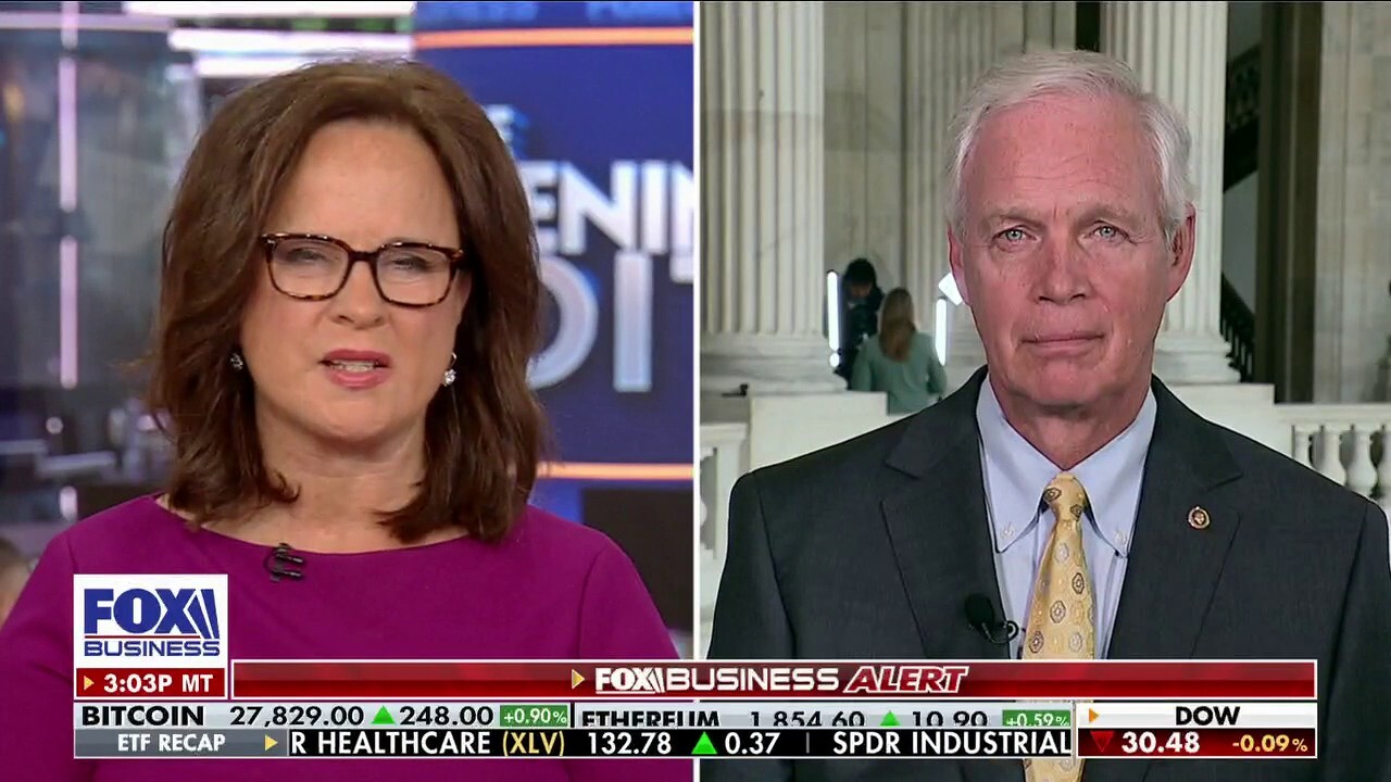 This is 'sleazy corruption' by the Biden family: Sen. Ron Johnson