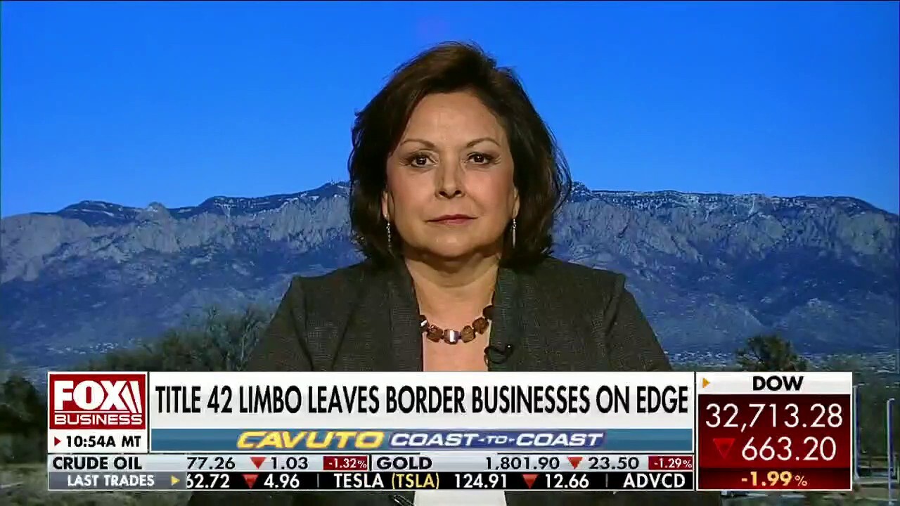 Biden's border crisis a 'catastrophe' for every state in America: Susana Martinez 