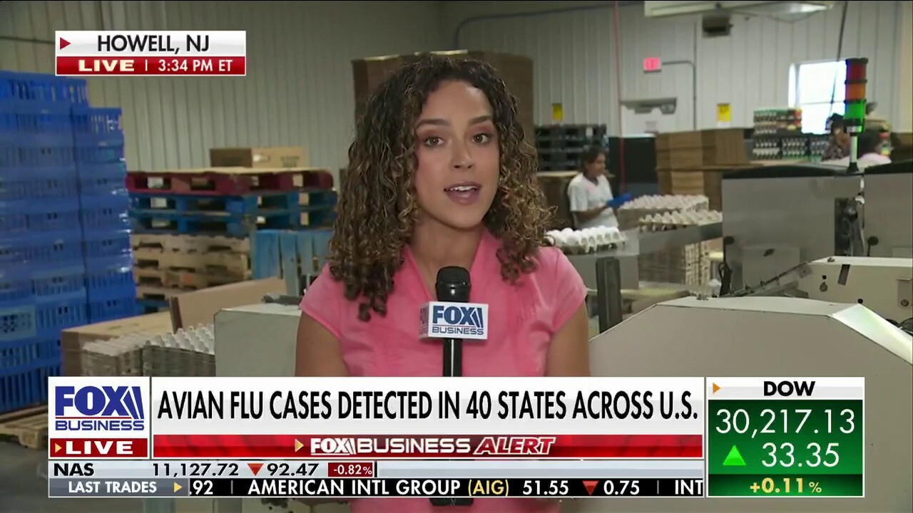 FOX Business correspondent Madison Alworth reports from a farm in Howell, NJ on the avian influenza epidemic that is scrambling costs of eggs across America on 'The Claman Countdown.'