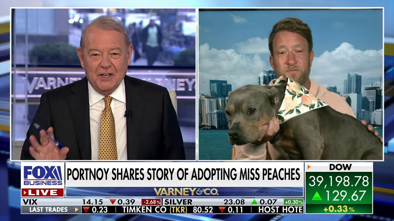 Barstool Sports founder Dave Portnoy and his rescue dog, Miss Peaches, discuss their fundraising campaign for other adoptable pups.