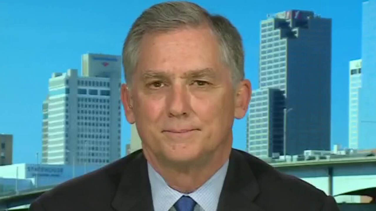 The Democratic party has 'lost its mind': Rep. French Hill