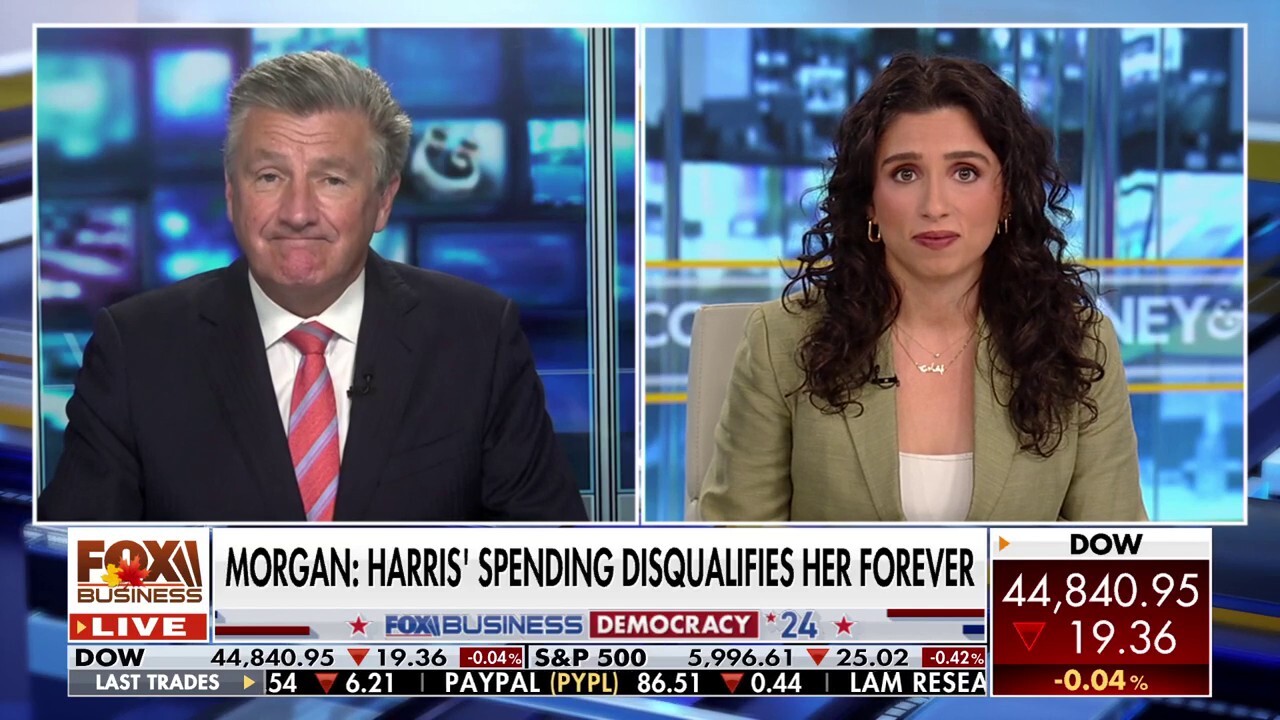 Democratic Party’s ‘path forward’ is ‘hard’ to imagine, journalist argues