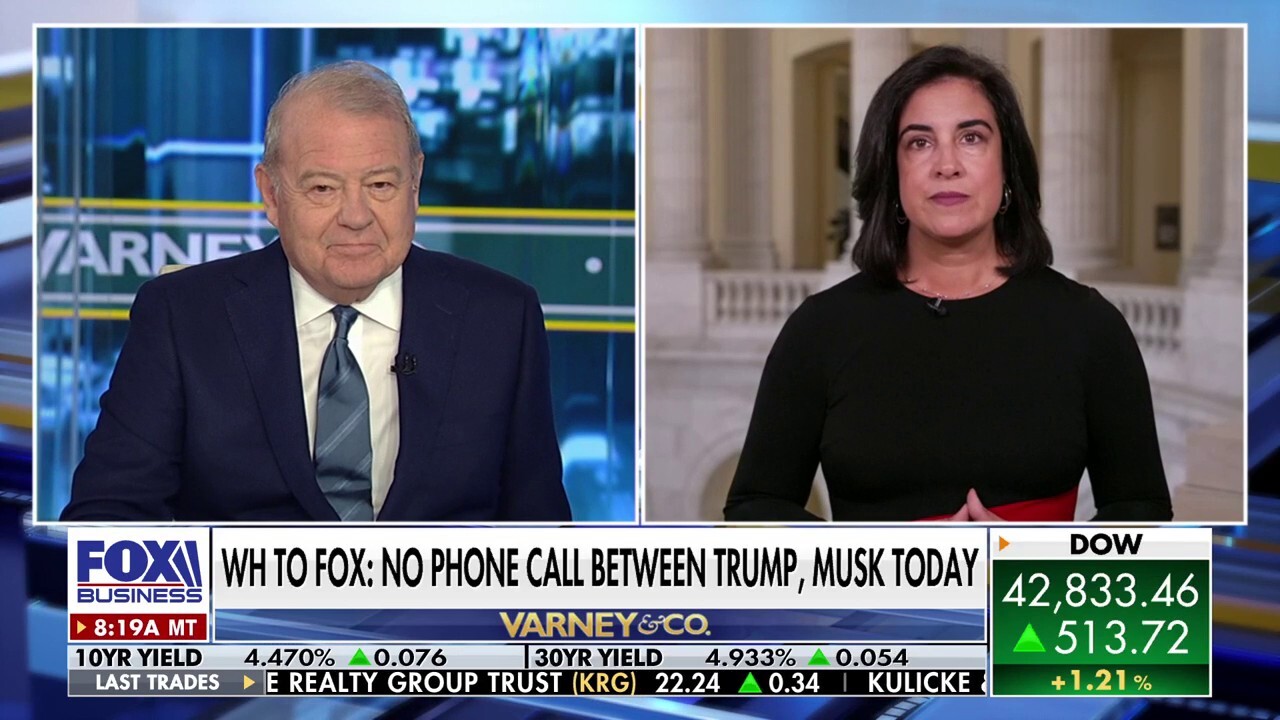 Rep. Nicole Malliotakis, R-N.Y., joins ‘Varney & Co.’ to discuss the GOP’s plans to limit Medicaid fraud and abuse and how Democrats are responding.