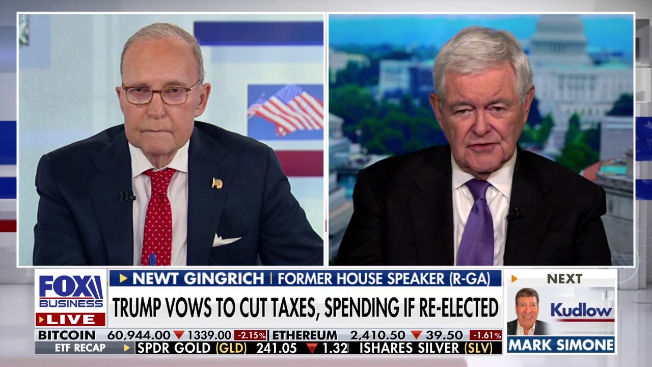 Newt Gingrich: Kamala Harris might as well run on 'vote for a depression now'