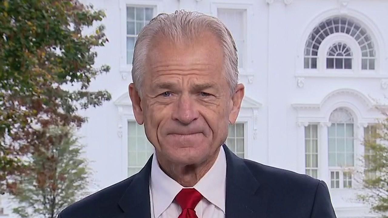 A Biden economy would have 'depression, bear market': Peter Navarro