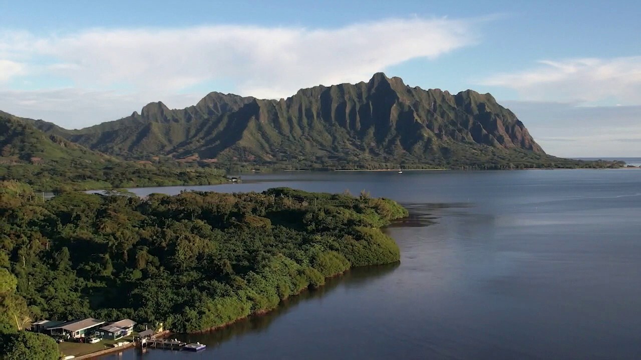 Savvy homebuyer David searches for his perfect home in Kaneohe, Hawaii