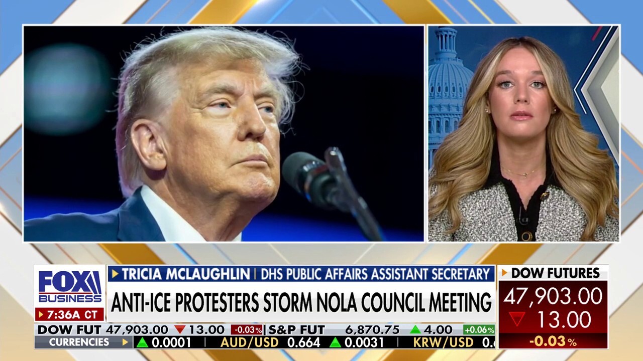 Trump ICE sweeps hit Minneapolis to root out illegal Somali immigrants