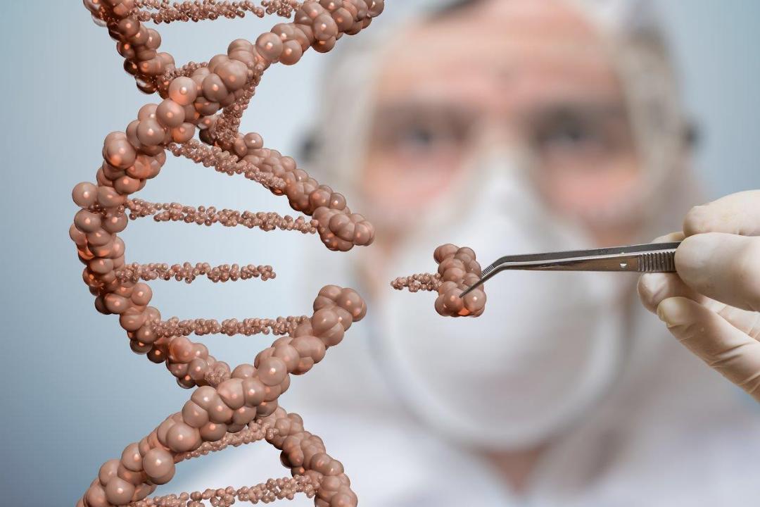 Move over GMOs? Monsanto says they are experimenting with gene editing