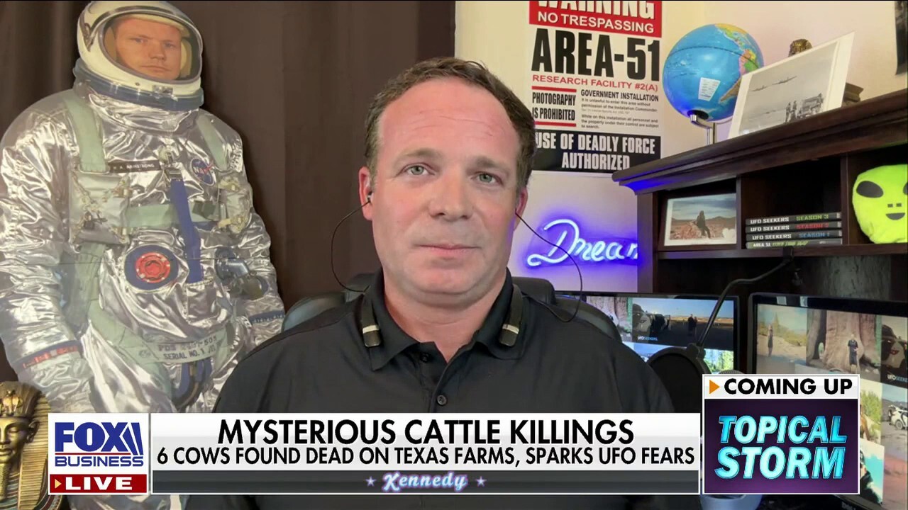 Why mysterious cattle deaths could be UFO-related: Tim Doyle
