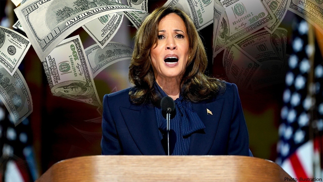 Rep. Michael Rulli, R-Ohio, reacts to Vice President Kamala Harris' price fixing plan on 'The Evening Edit.'