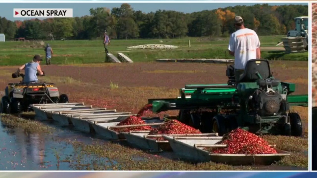 Cranberries will be in 'plentiful supply' this Thanksgiving: Ocean Spray CEO