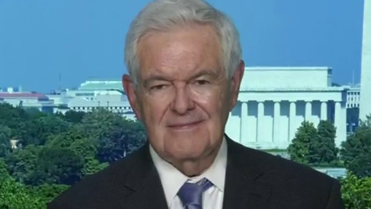 Newt Gingrich: This is a long-term effort by the elites to take control of society