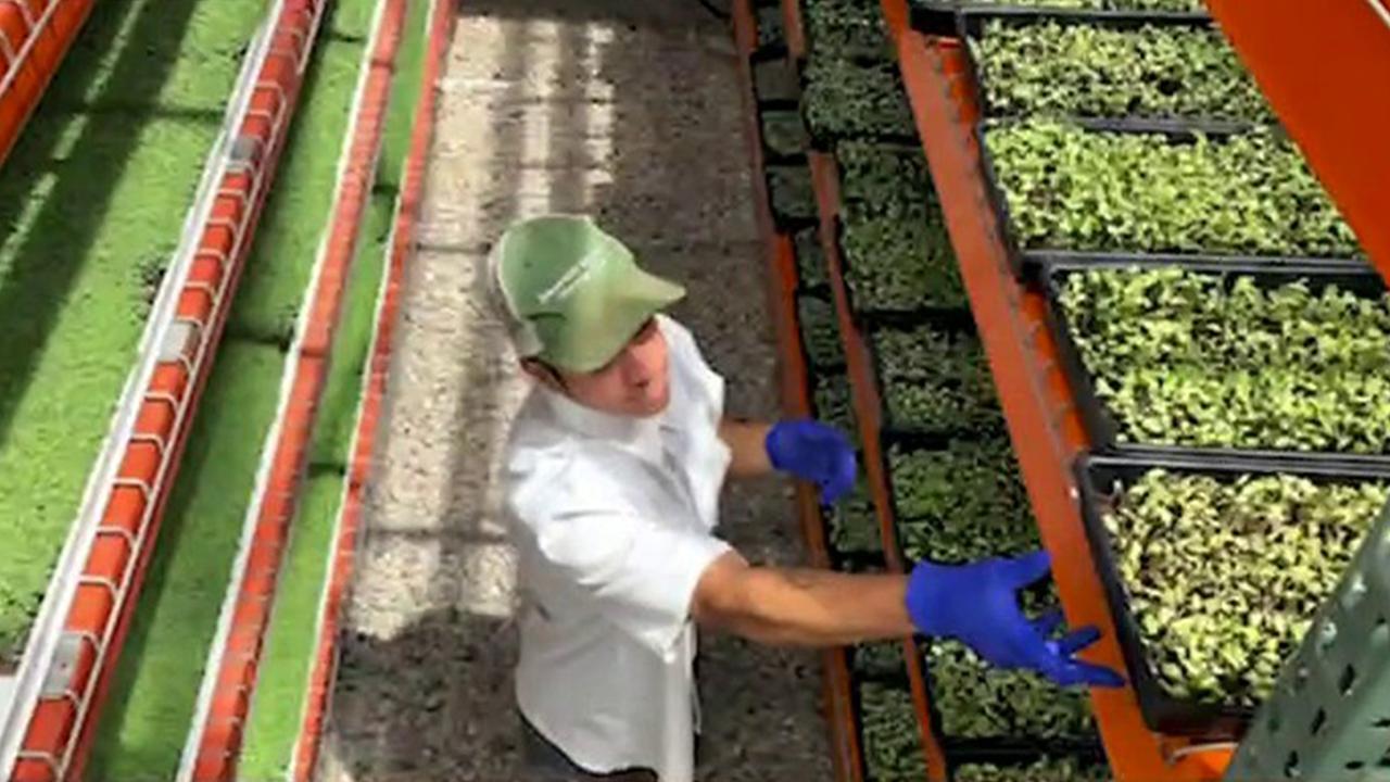 Colorado farmer works to increase food security in his community 