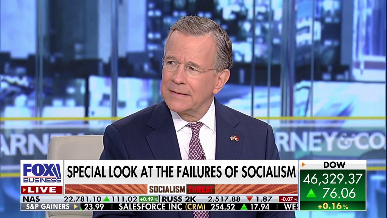 Asman warns socialist Mamdani is a 'wolf in sheep's clothing'