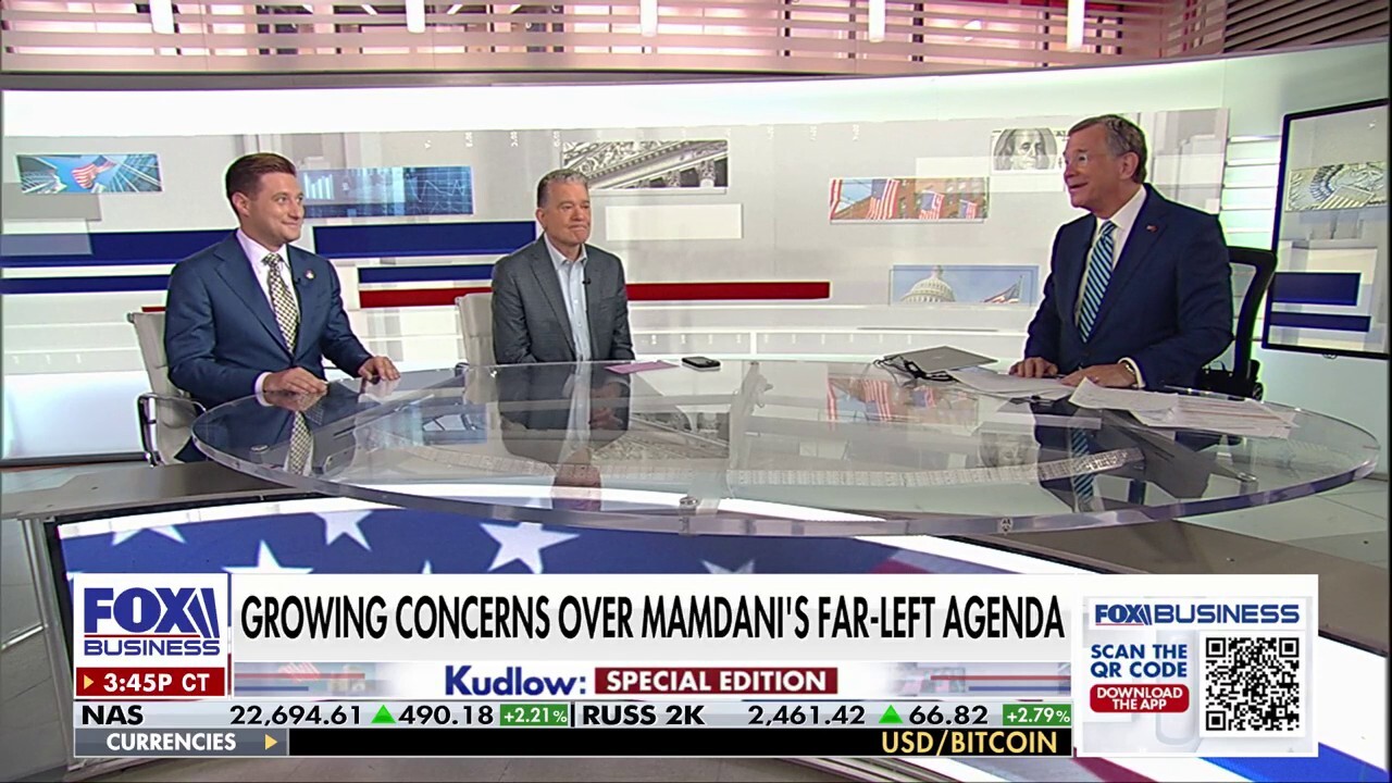 Mamdani is using the ‘socialist playbook’ to win over New York — only to ‘destroy it’: New York State assemblyman