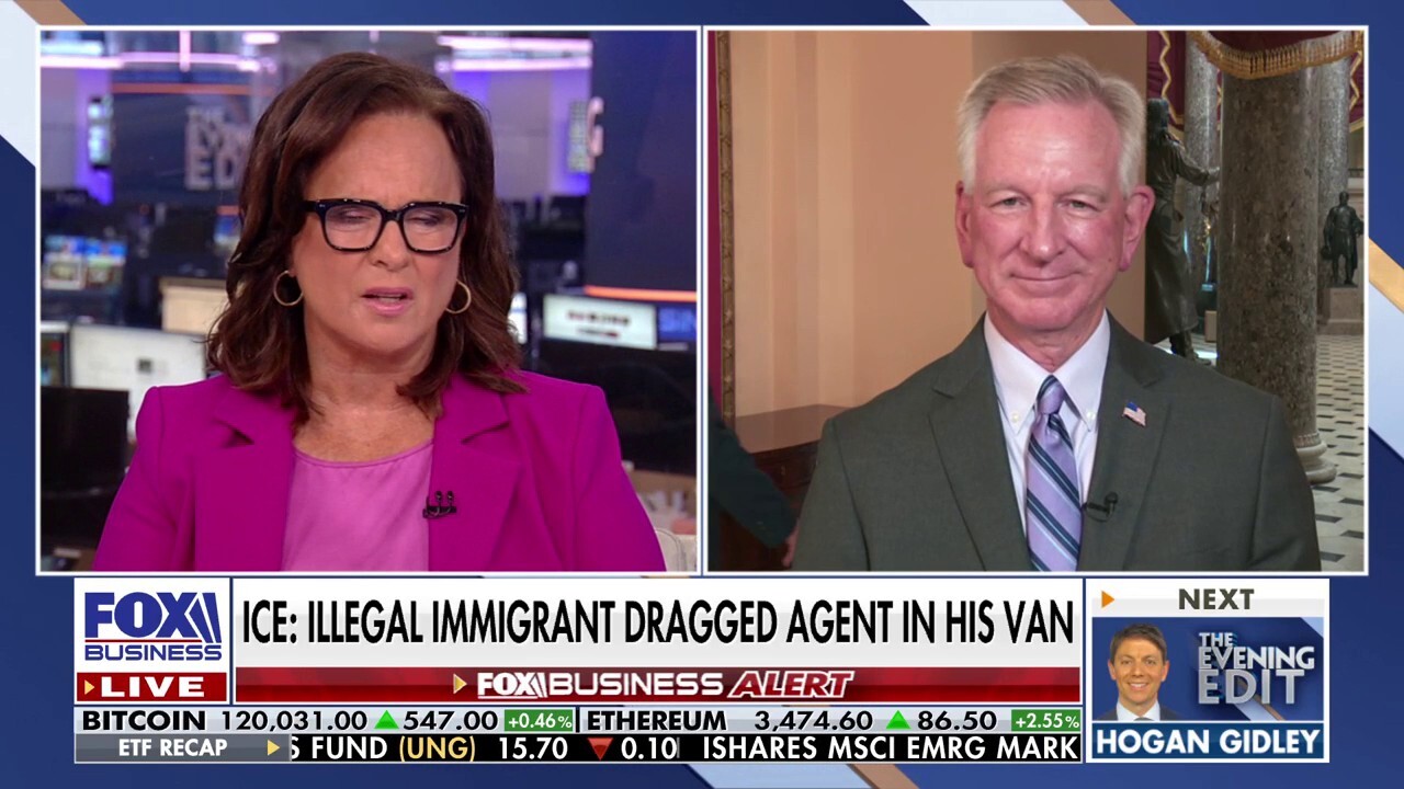 Every illegal immigrant ‘run out’ is one less vote for Democrats, says GOP senator