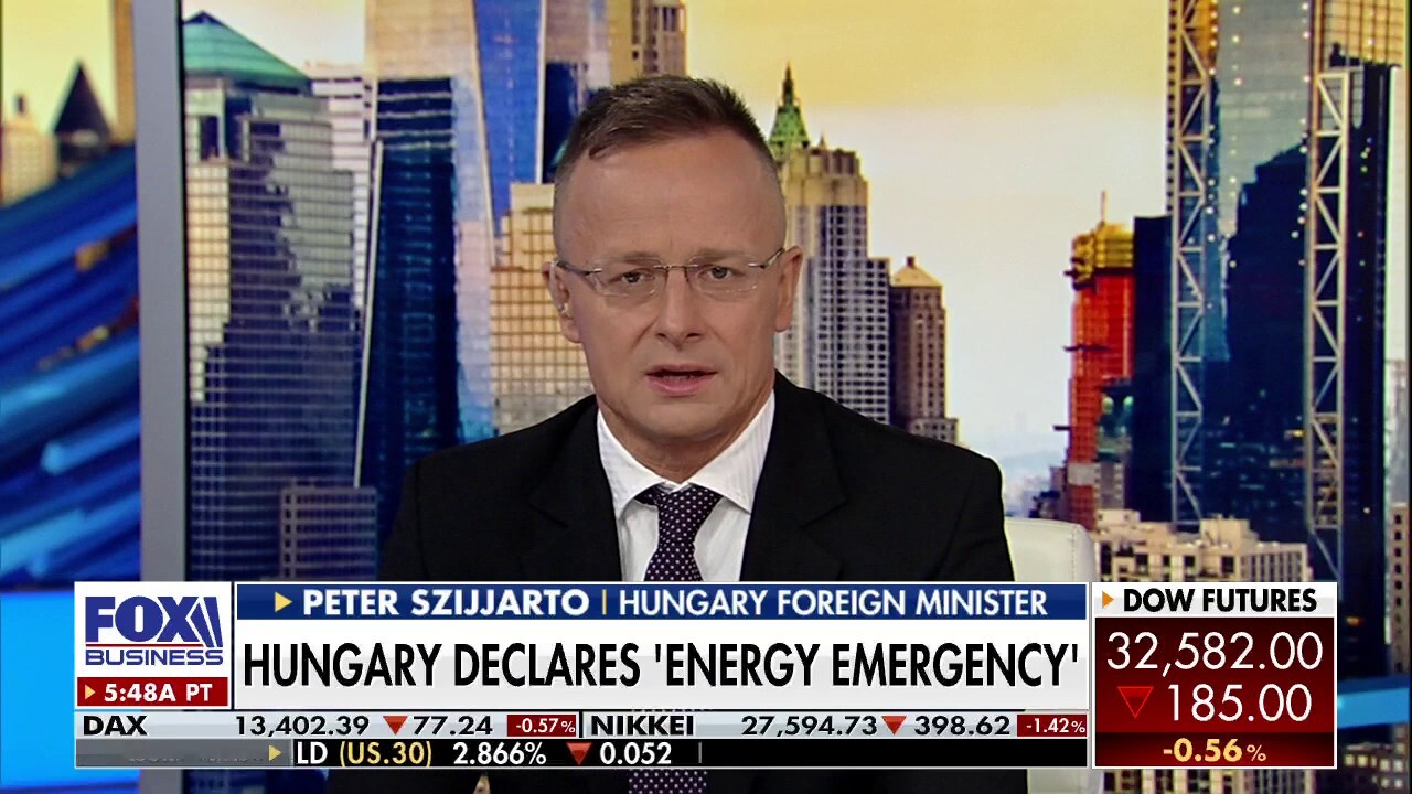 Hungarian foreign minister Peter Szijjarto weighs in on energy supply shortages plaguing Europe amid Russia's war with Ukraine and discusses Hungary's possible energy sources.
