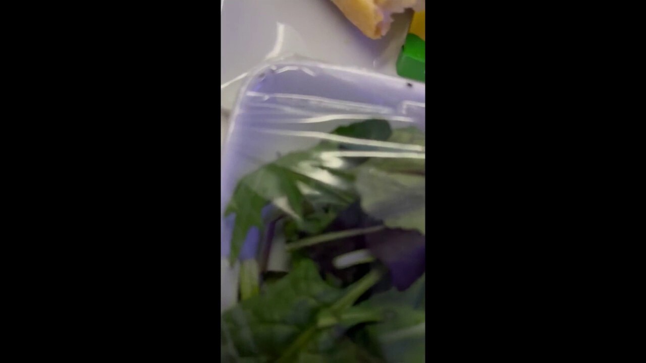 A traveler found bugs crawling in his salad during a flight from Frankfurt, Germany, to Dallas-Forth Worth, Texas.