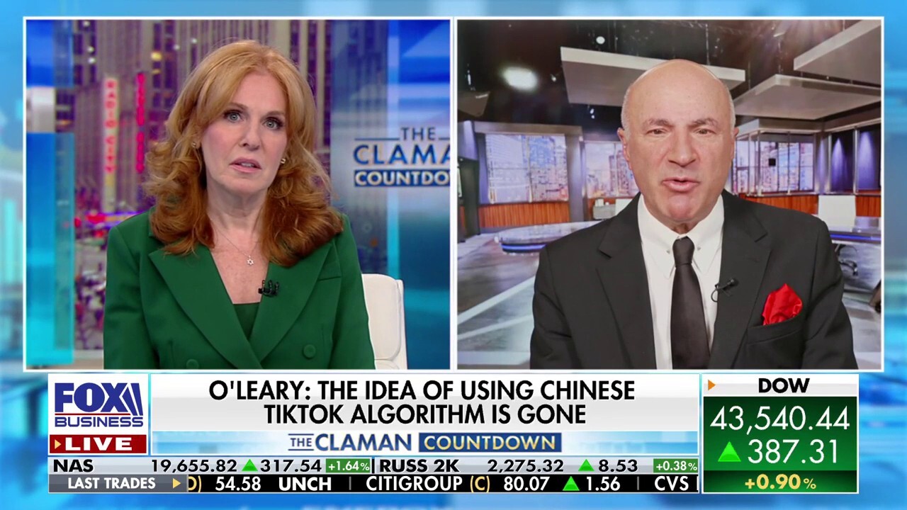 O'Leary Ventures chairman has the latest on his TikTok bid on 'The Claman Countdown.'