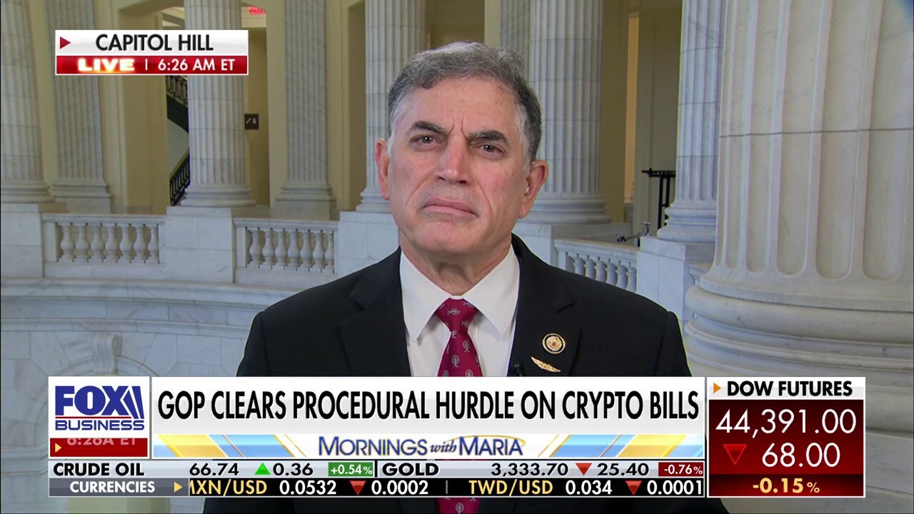 Rep. Andrew Clyde, R-Ga., discusses President Donald Trump weighing tariffs on smaller nations, border crossing numbers and the House voting to move a crypto regulation bill forward on 'Mornings with Maria.'