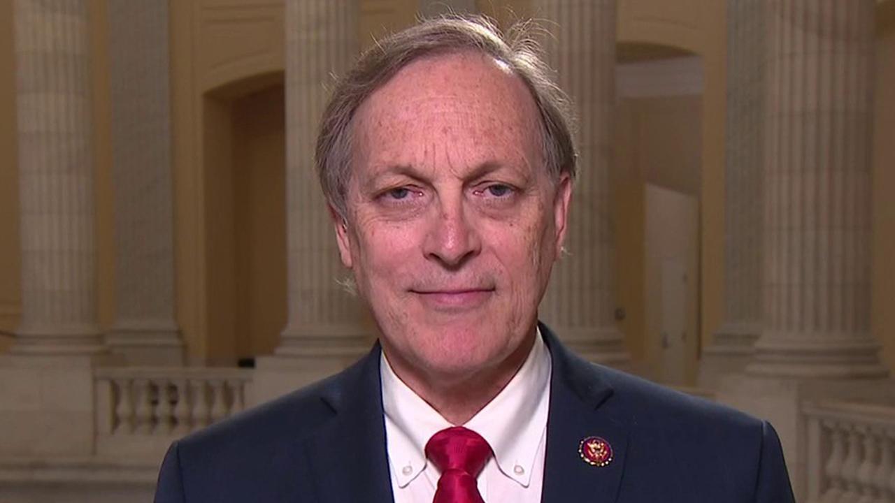 Protesters are undermining civil order, almost 'treasonous': Rep. Andy Biggs