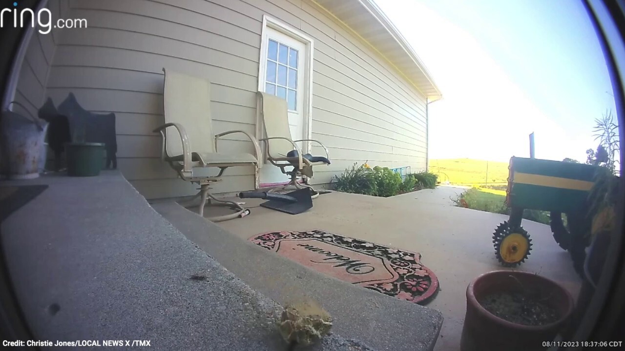 A FedEx driver in Nebraska is going viral after he was forced to confront a rattlesnake balled up by a customers front door while making a delivery.