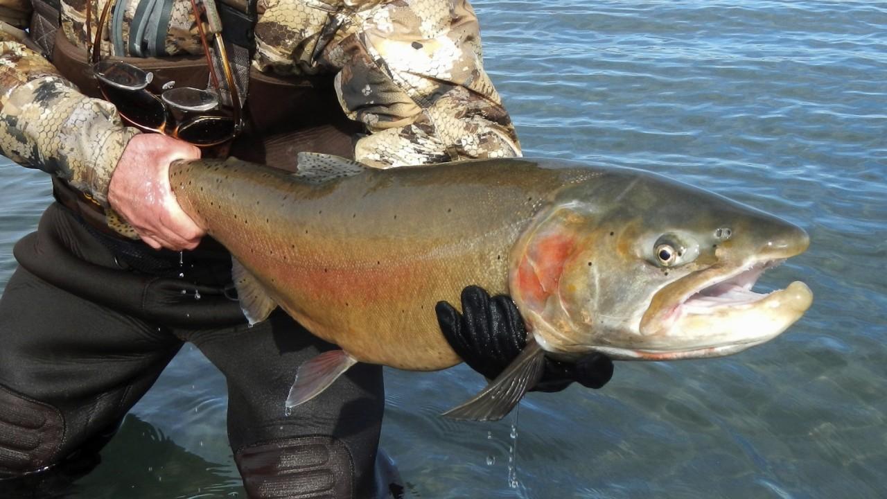 Local fisherman on the state of Florida's fishing industry