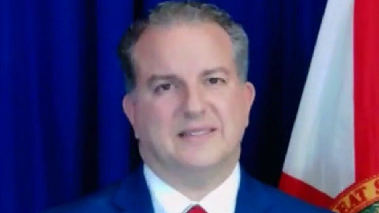 Florida's Chief Financial Officer Jimmy Patronis argues Coca-Cola, Delta Airlines and MLB shouldn’t get involved in politics, remarking that he wants to take his children to a baseball game without ‘getting a lesson on separation of power from corporate America.’