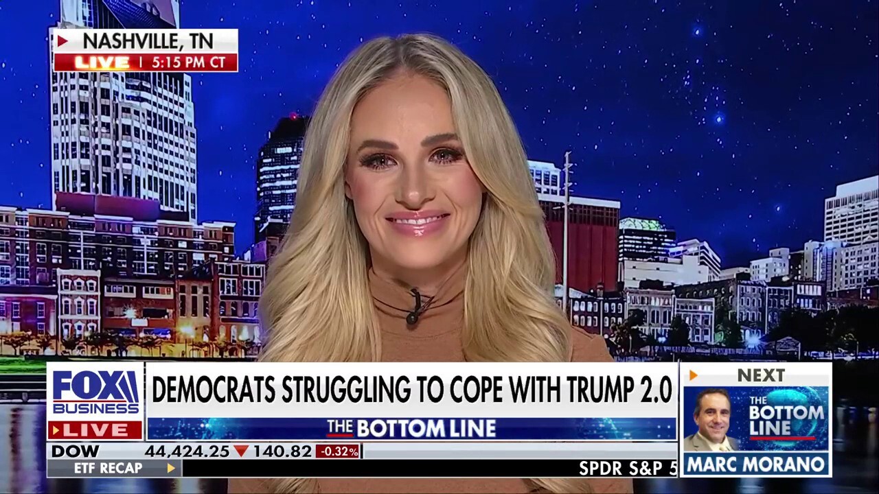 Tomi Lahren: Activist media is upset they will have a hard time spinning wins into negatives