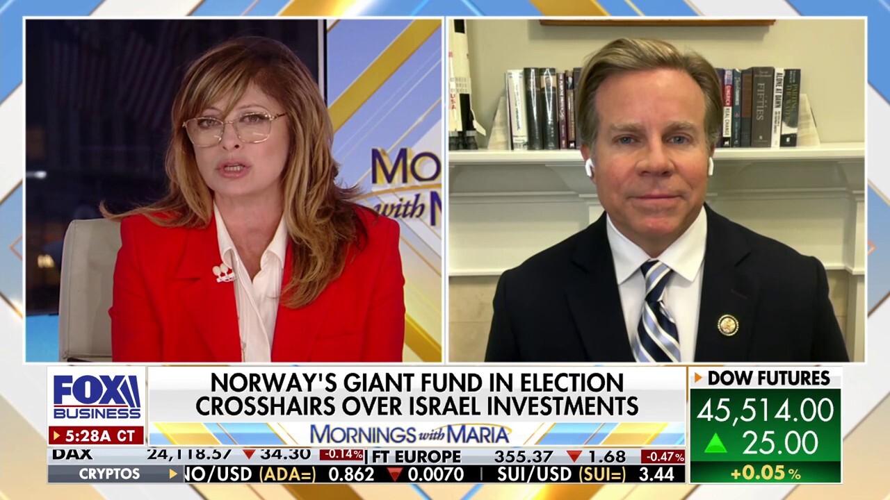 Mike Haridopolos warns targeting Israeli firms while funding China is 'virtue signaling'