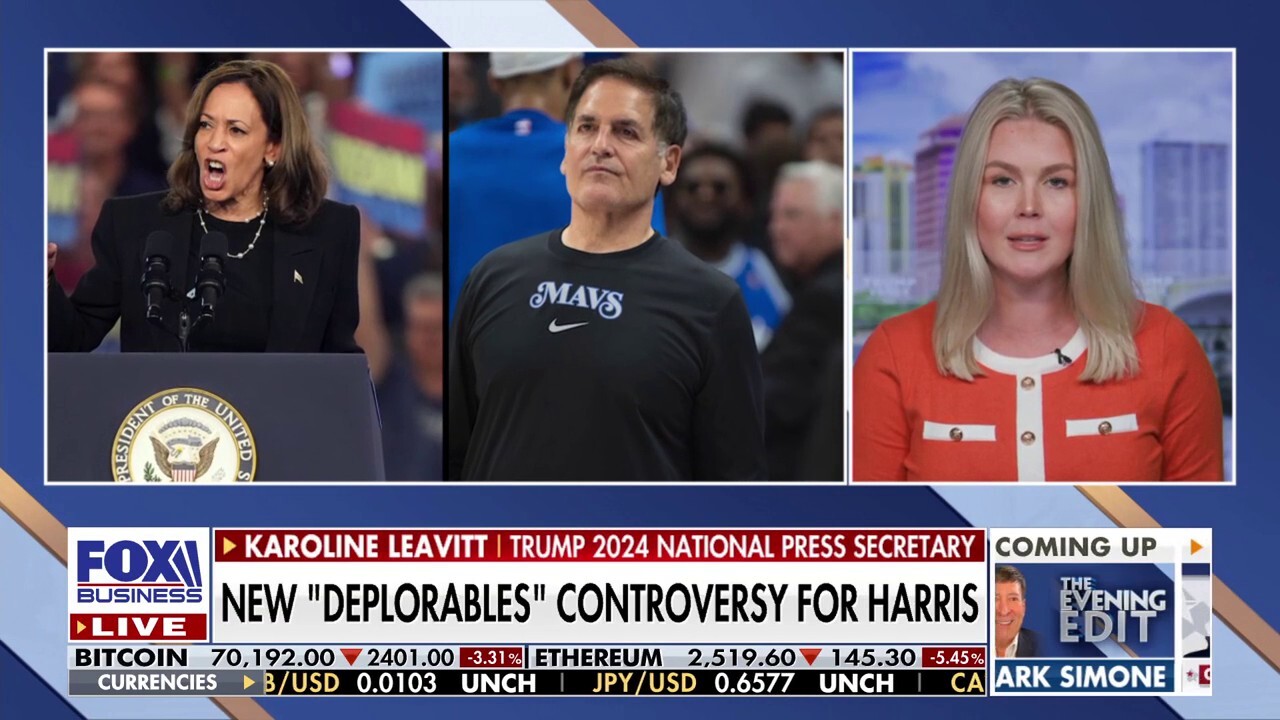 Karoline Leavitt calls Mark Cuban's remarks against pro-Trump women 'incredibly insulting'