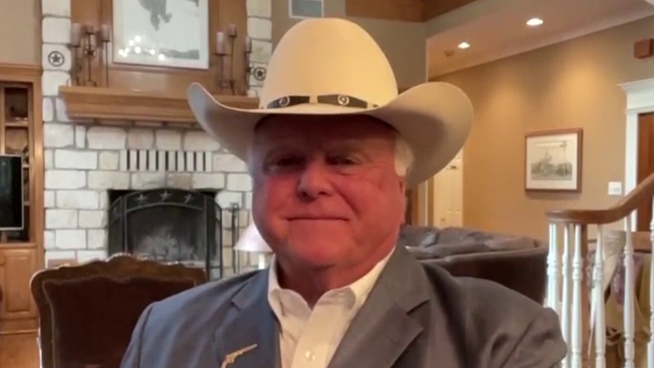 Texas Agriculture Commissioner Sid Miller argues American farmers are facing supply chain, border security and federal permit problems.