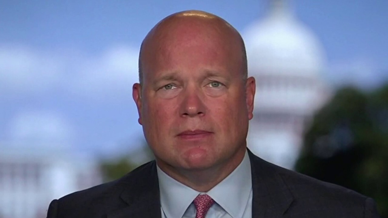 'Disgusting' the media tried to attach Paul Pelosi attacker to Trump, GOP: Whitaker
