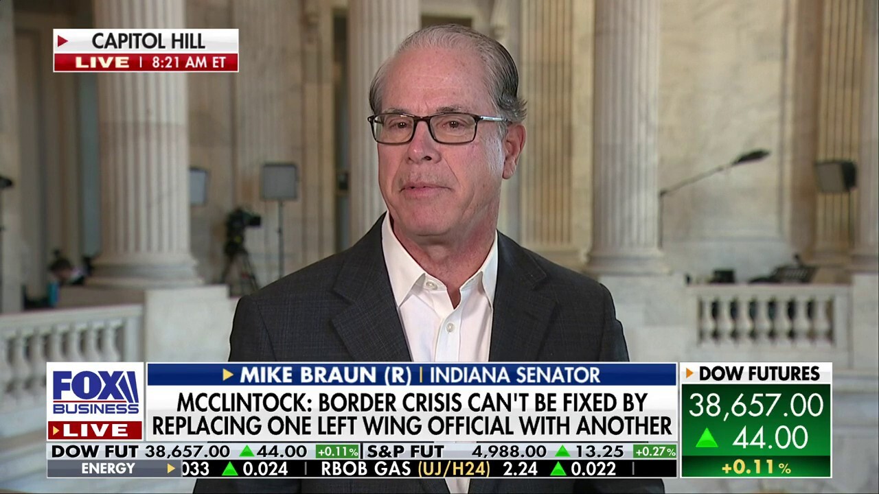 Biden, Mayorkas are 'both liable' for border crisis: Sen. Mike Braun