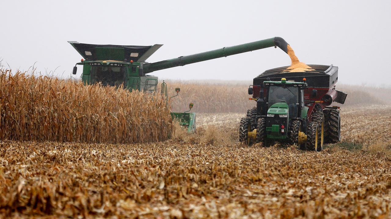 China’s tariffs will cost us 100K in revenue: Soybean farmer