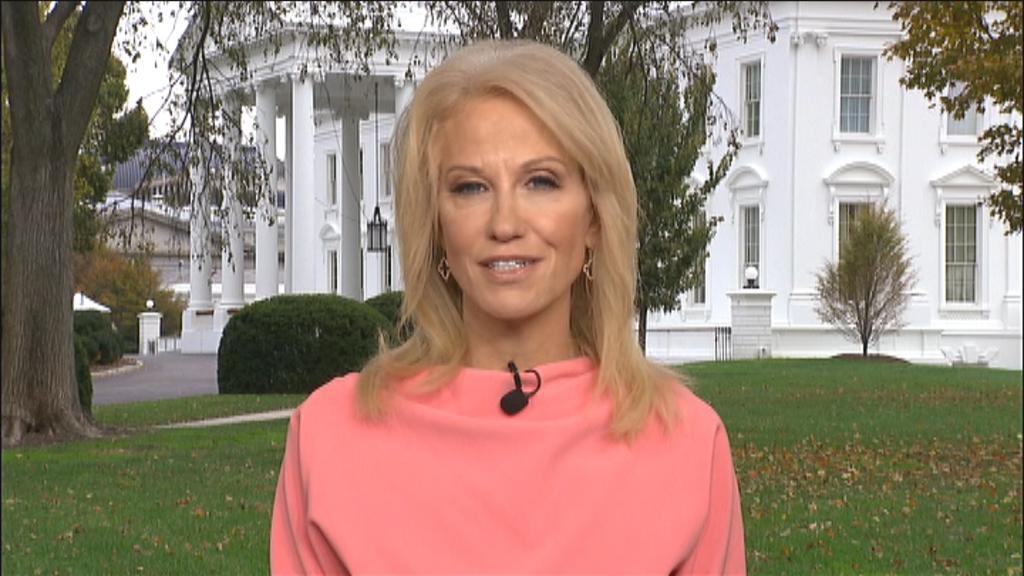 Kellyanne Conway: Dems are offering 'free stuff,' Trump is offering 'freedom'