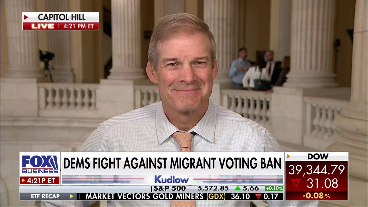 Dems don't want proof of citizenship when it's time to vote: Rep. Jim Jordan